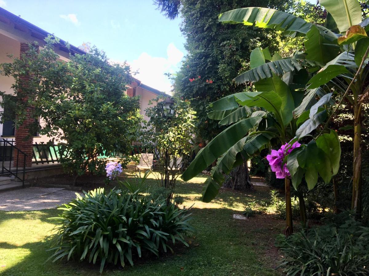 Casa vacanze Gabbianella villa con giardino lungolago Maderno Toscolano-Maderno Esterno foto